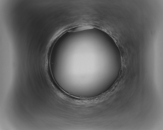 X0000112940005200908311458