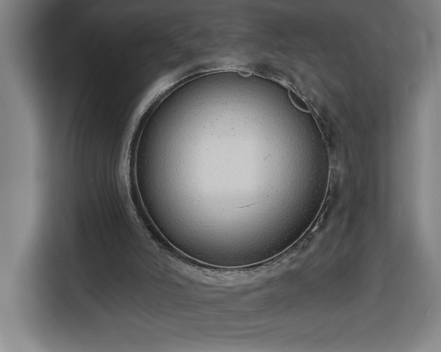 X0000112940006200908311458