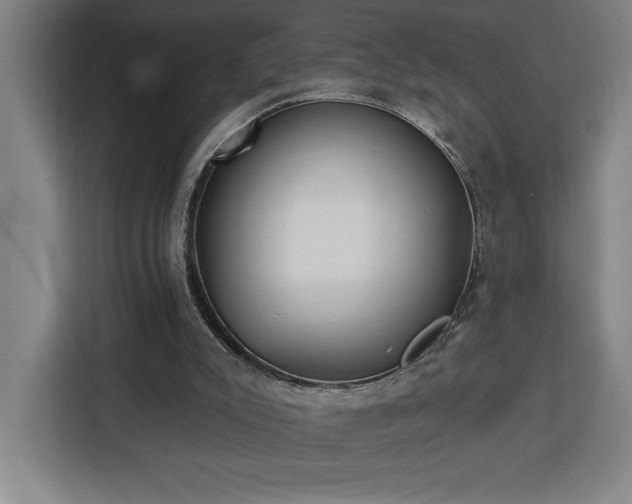 X0000112940007200908311458