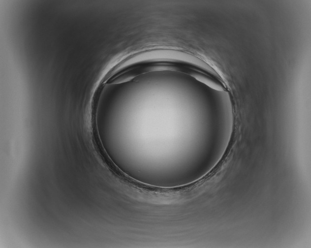 X0000112940008200908311458