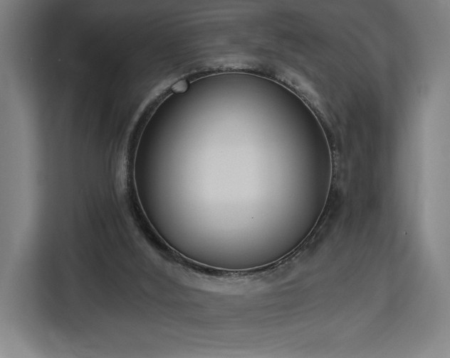 X0000112940012200908311458