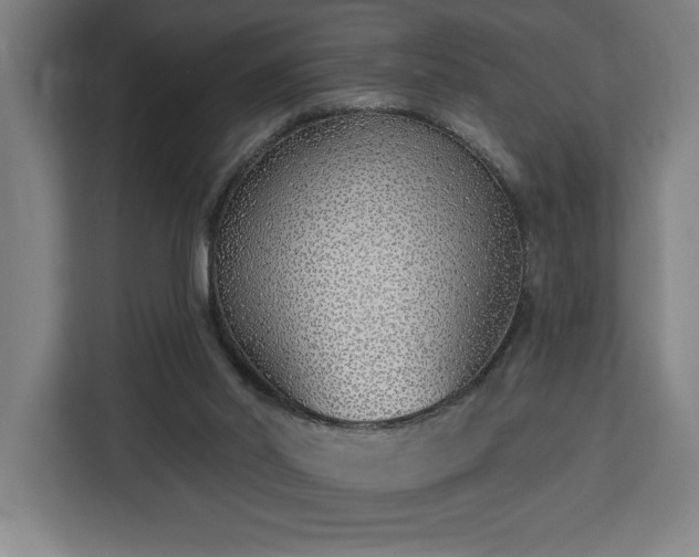 X0000112940014200908311458