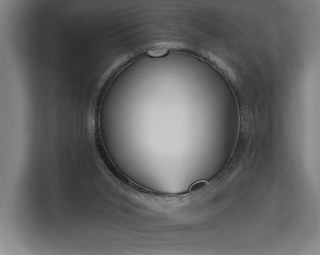 X0000112940015200908311458