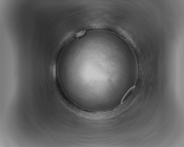 X0000112940019200908311458