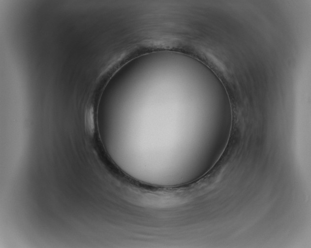 X0000112940020200908311458