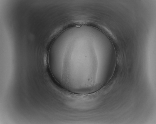 X0000112940023200908311458