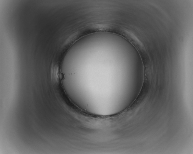 X0000112940024200908311458