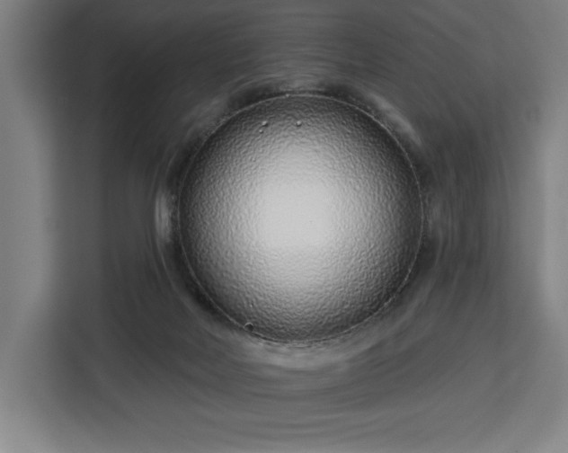 X0000112940026200908311458