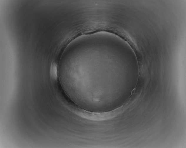 X0000112940027200908311458