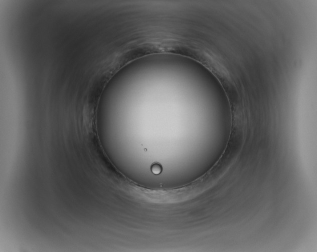 X0000112940030200908311458