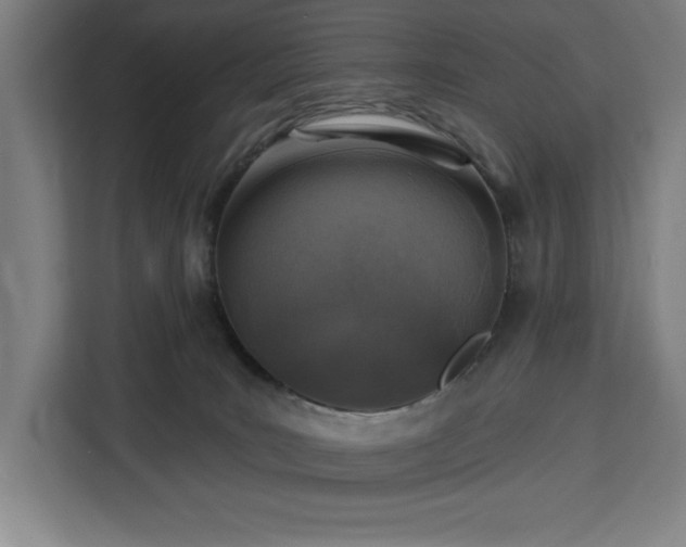 X0000112940035200908311458