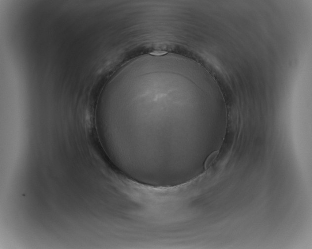 X0000112940039200908311458