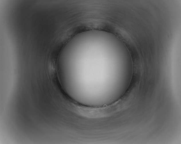 X0000112940040200908311458