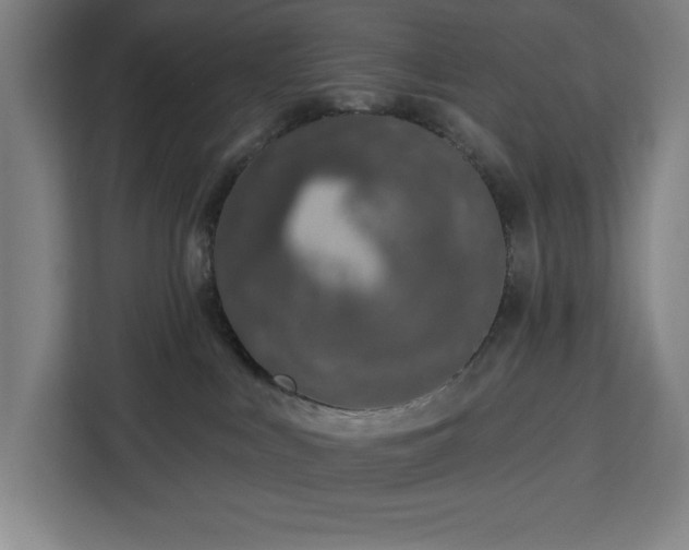 X0000112940043200908311458