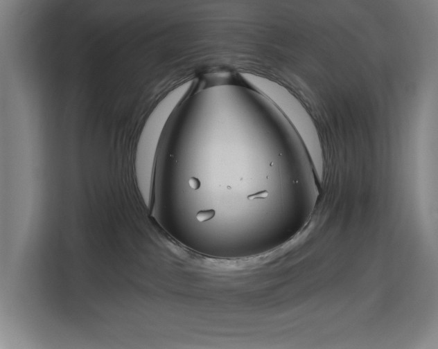 X0000112940045200908311458