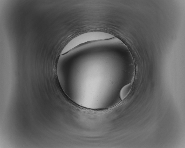 X0000112940048200908311458