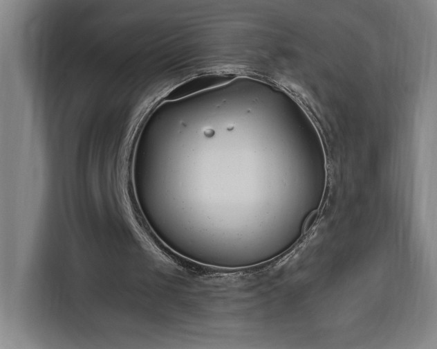 X0000112940049200908311457