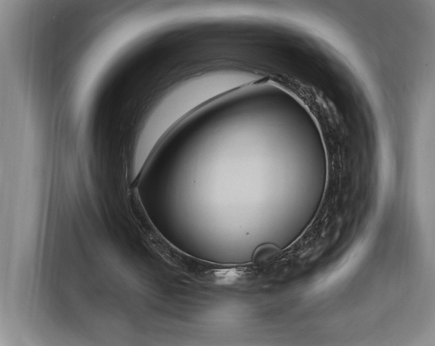 X0000112940050200908311457