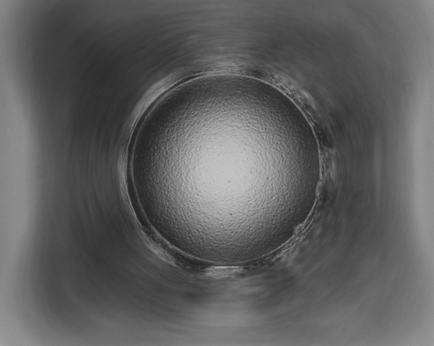 X0000112940051200908311457