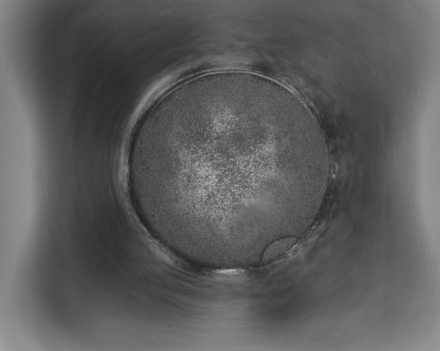 X0000112940053200908311457