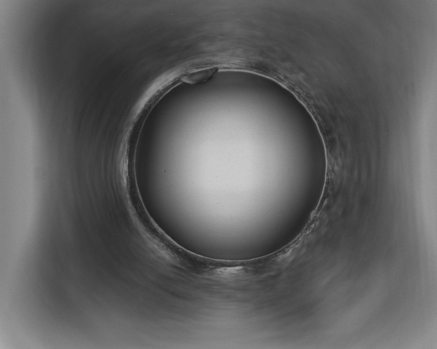 X0000112940054200908311457