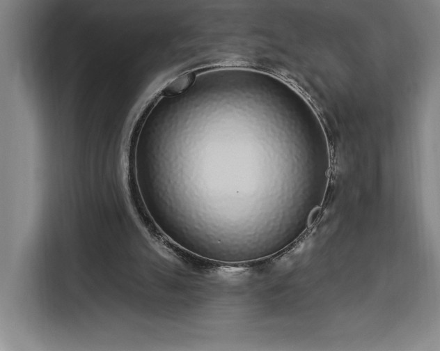 X0000112940055200908311457