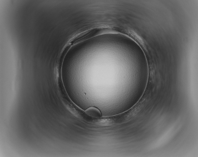 X0000112940059200908311457