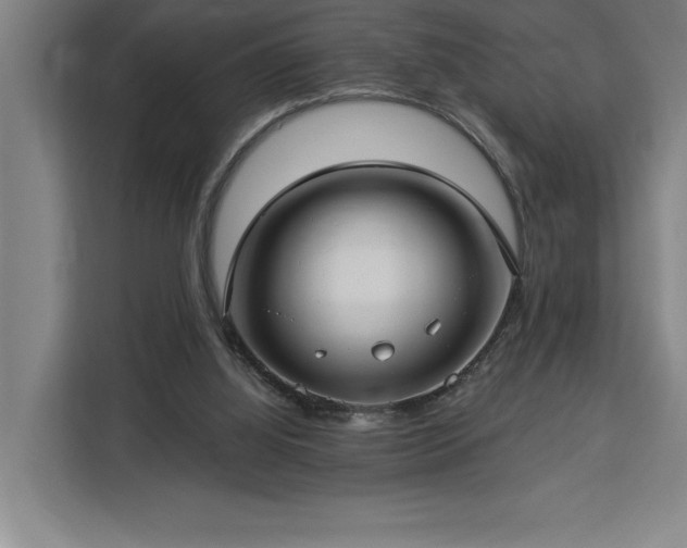 X0000112940060200908311457