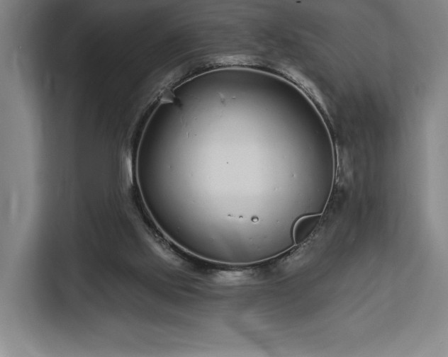 X0000112940061200908311457