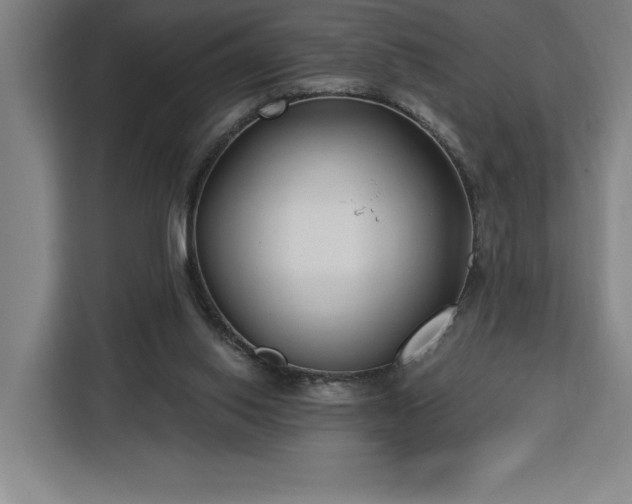 X0000112940062200908311457