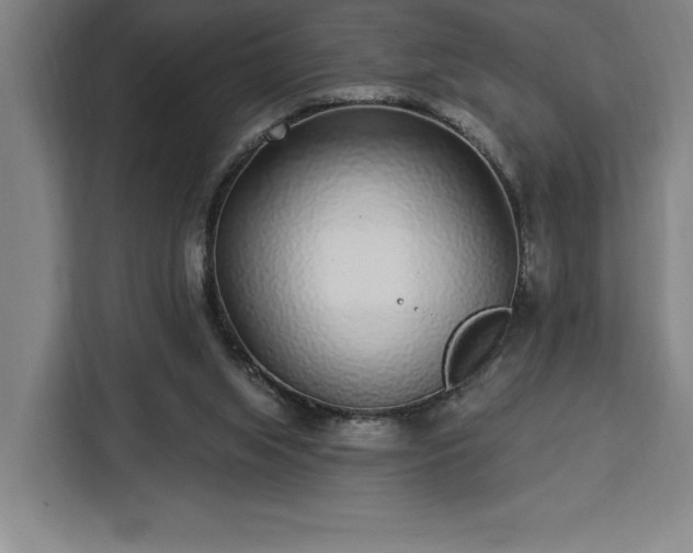 X0000112940063200908311457