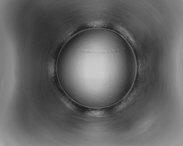 X0000112940065200908311457