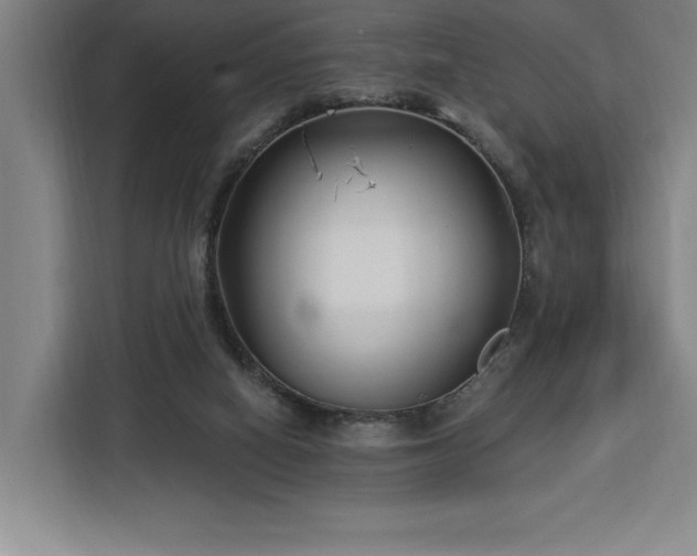 X0000112940066200908311457