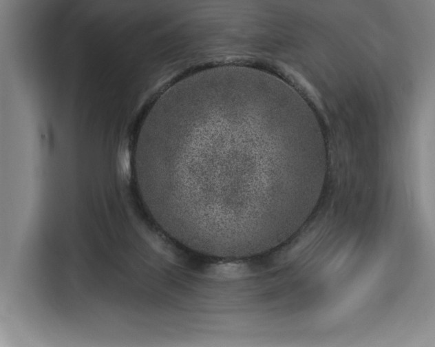 X0000112940067200908311457