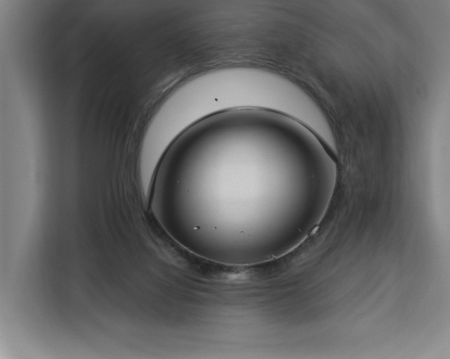 X0000112940068200908311457