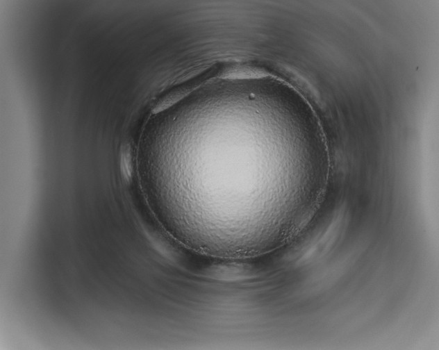 X0000112940069200908311457