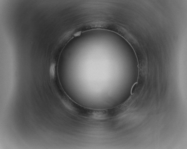 X0000112940070200908311457