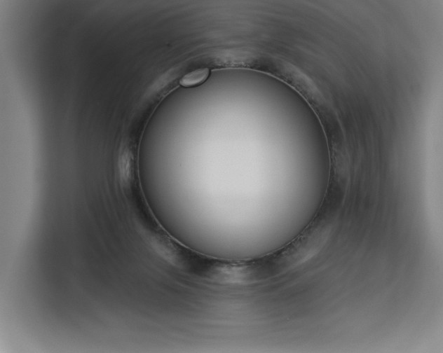 X0000112940071200908311457