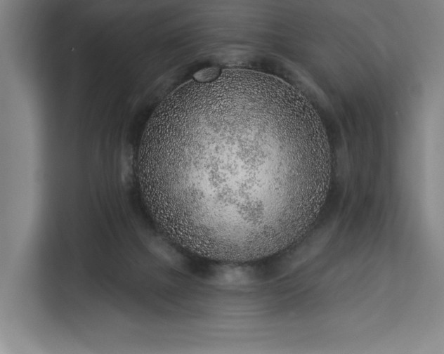 X0000112940073200908311457