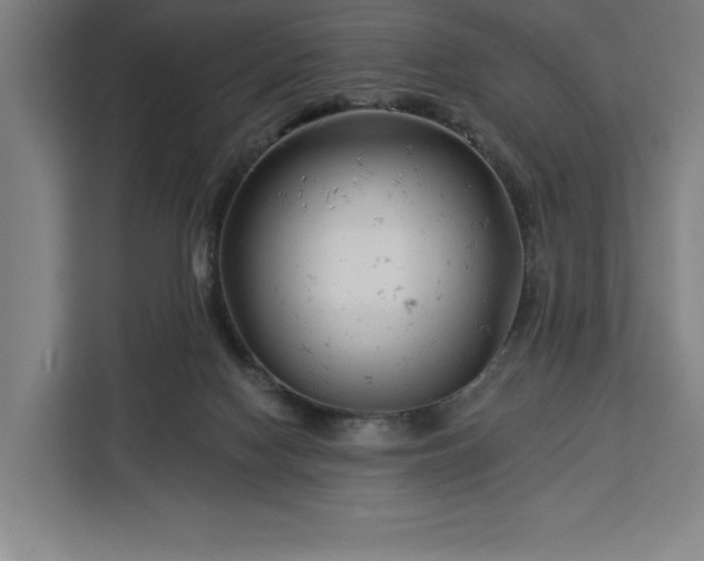 X0000112940074200908311457