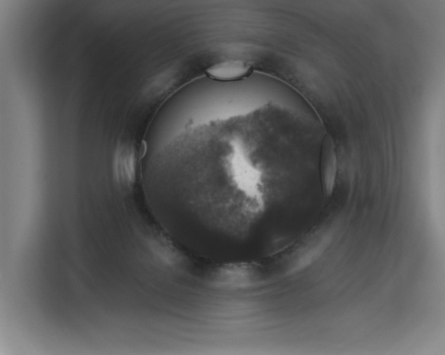 X0000112940076200908311457