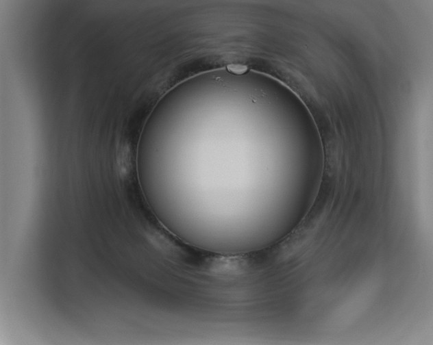 X0000112940077200908311457