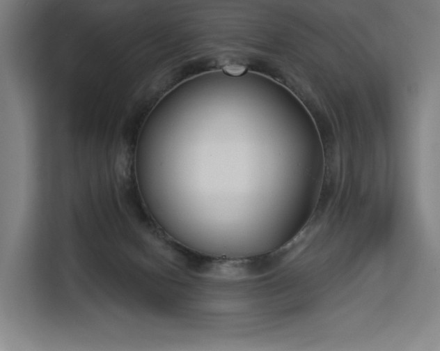 X0000112940078200908311457