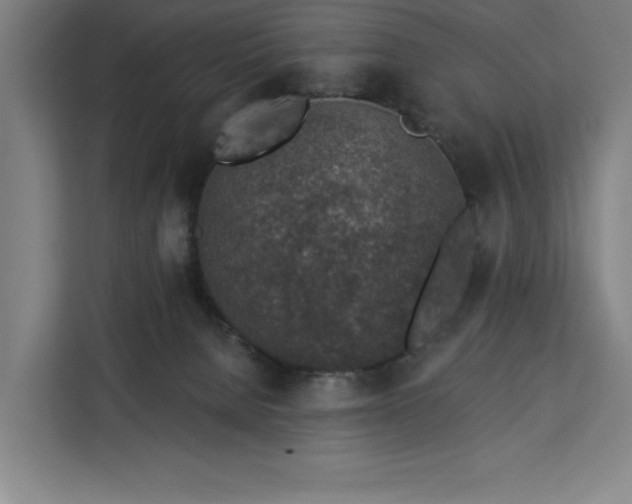 X0000112940080200908311457