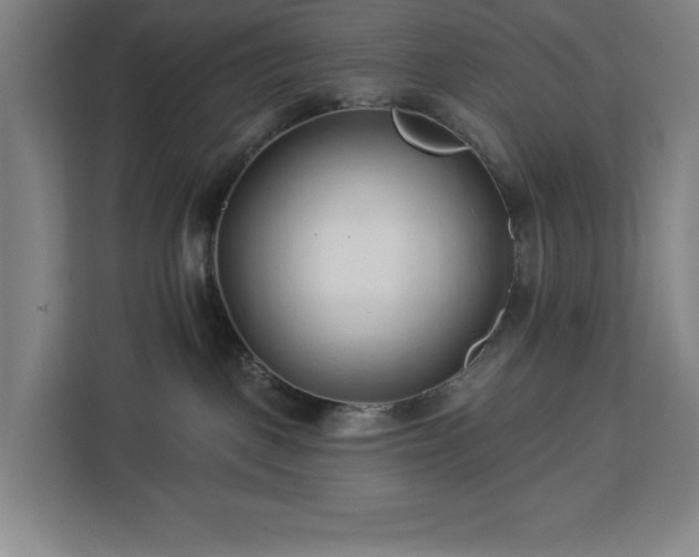 X0000112940093200908311458