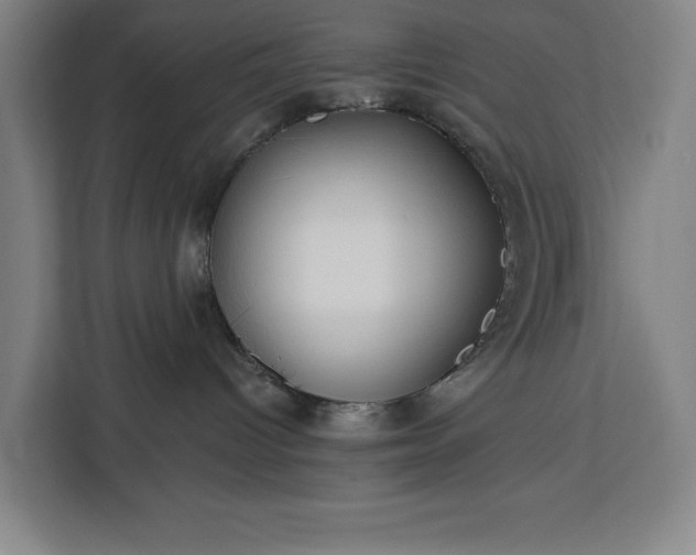 X0000112940096200908311458