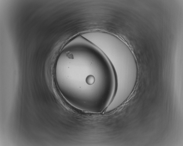 X0000112940097200908311457