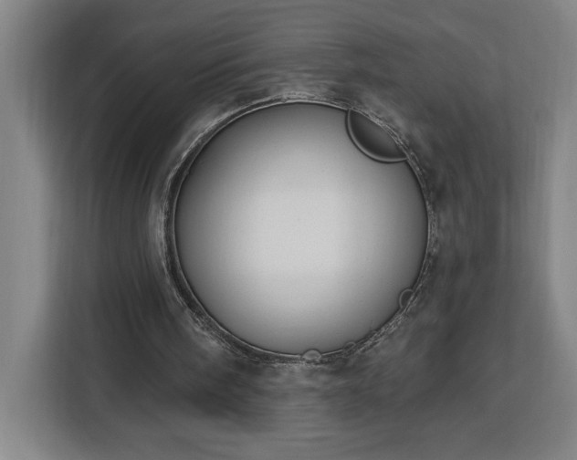 X0000112940098200908311457