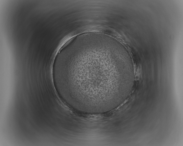 X0000112940099200908311457