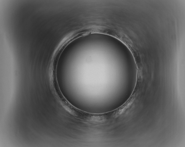 X0000112940101200908311457